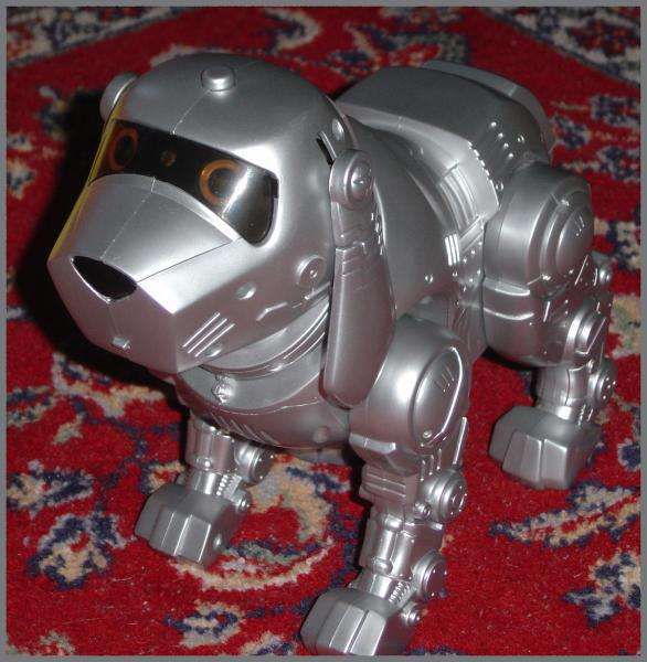 chien-robot-teksta.jpg