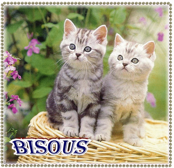 minou-2-bisous.gif